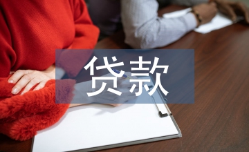 小額貸款申請(qǐng)書(shū)