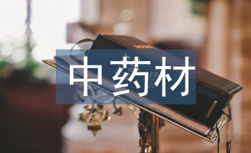 談中藥材黃精種植技術(shù)