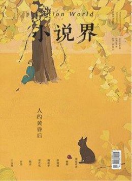 小說(shuō)界