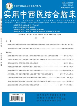 實用中西醫(yī)結(jié)合臨床