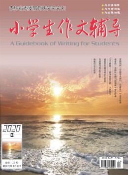 小學(xué)生作文輔導(dǎo)·教師適用雜志